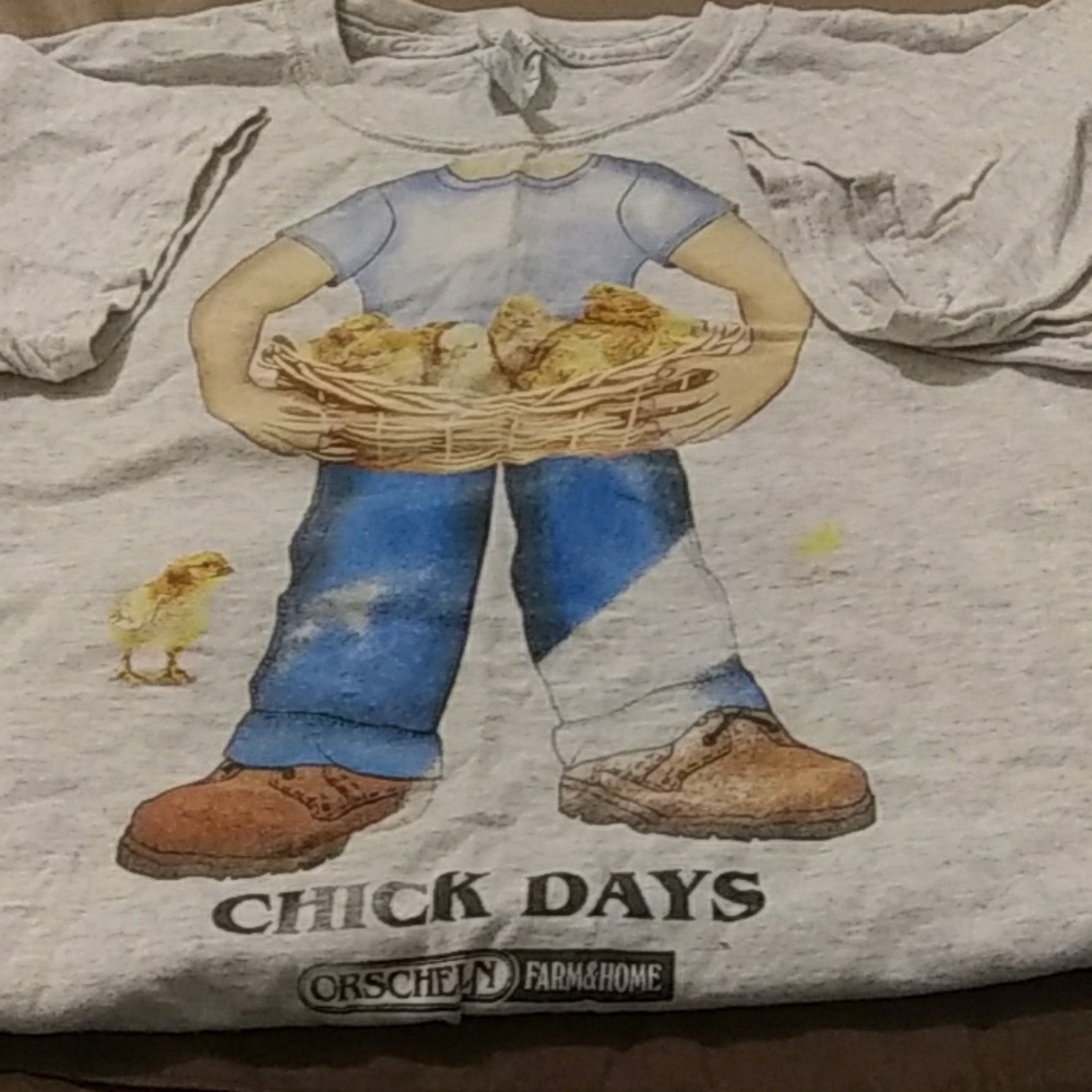 Short sleeve shirt
